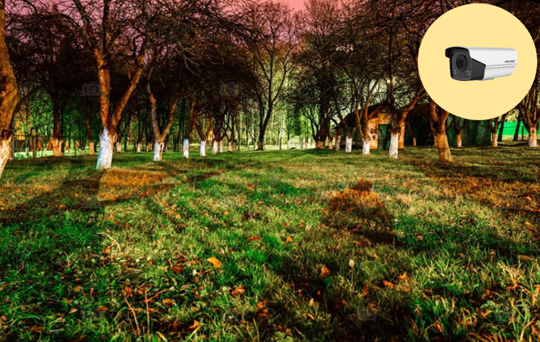 果园监控 果园监控