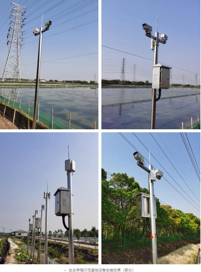 生态养殖示范基地监控设备安装效果 生态养殖示范基地监控设备安装效果